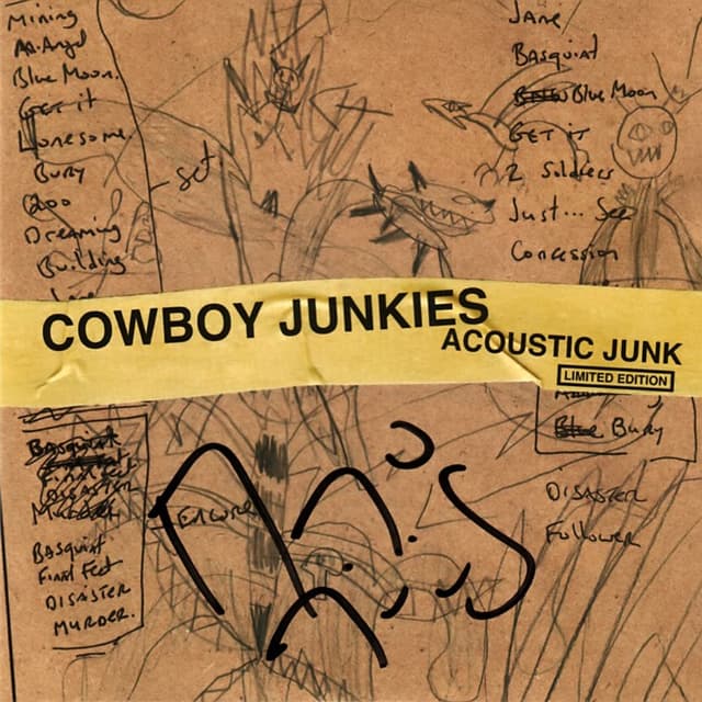 Acoustic Junk cover