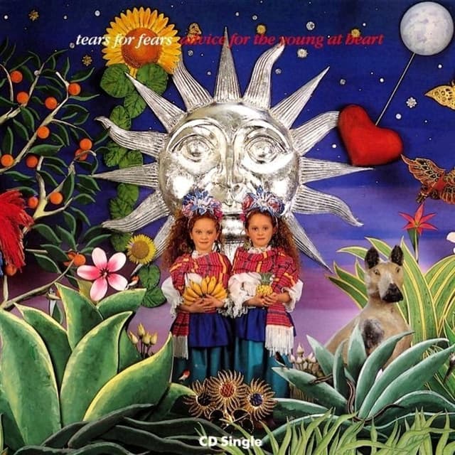 Advice for the Young at Heart cover