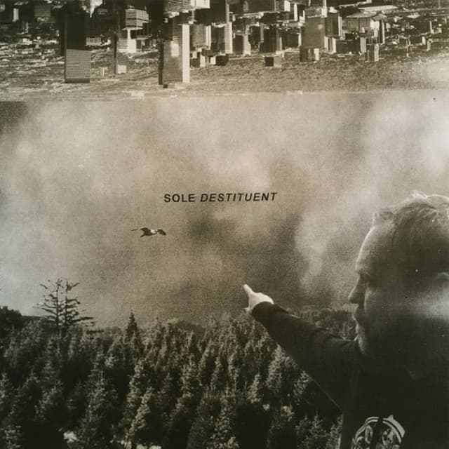 Destituent cover