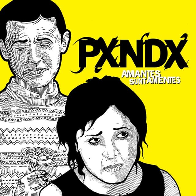 Amantes sunt amentes cover