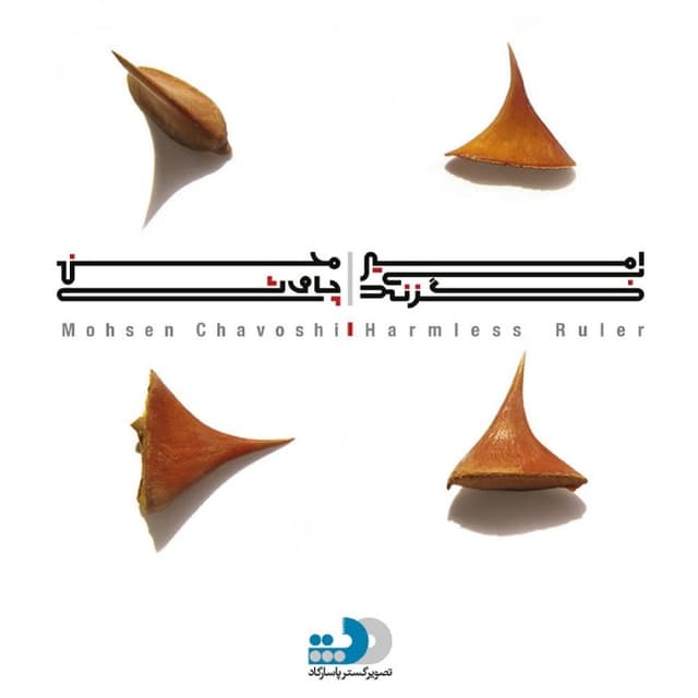 Amire Bi Gazand (Harmless Ruler) cover