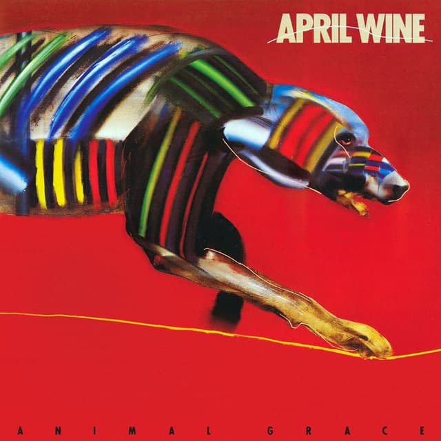 Animal Grace cover