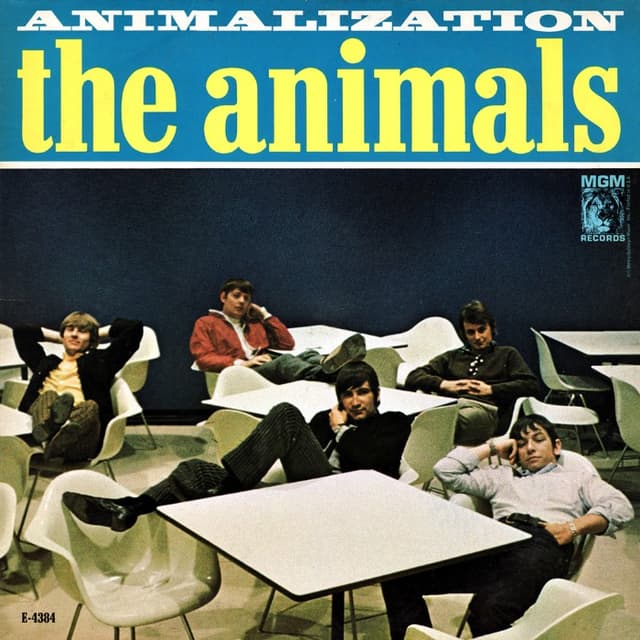 Animalization cover