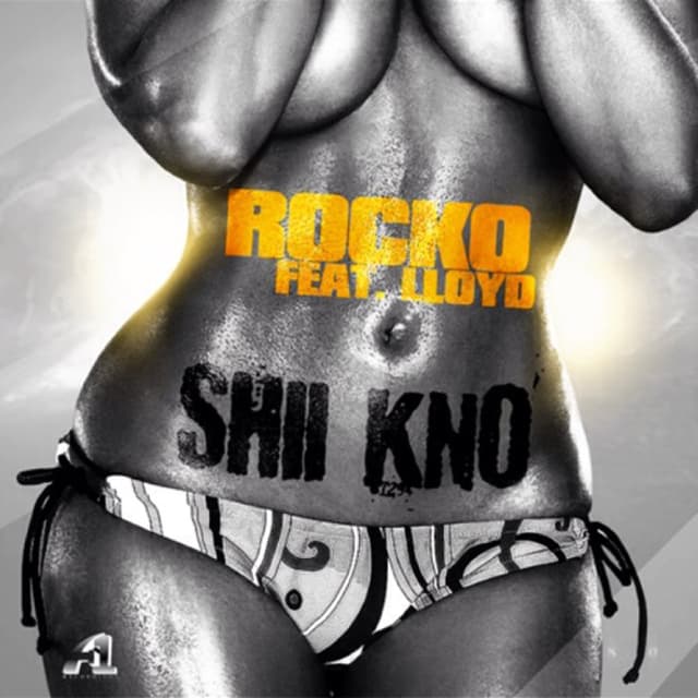 ShiiKno cover