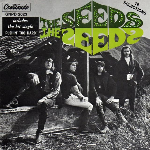 The Seeds / A Web of Sound cover