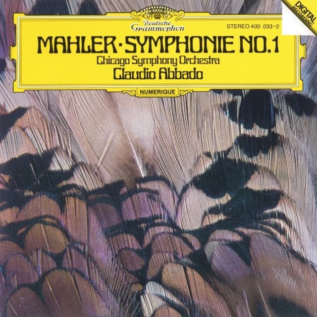 Symphonie No. 1 D-dur cover
