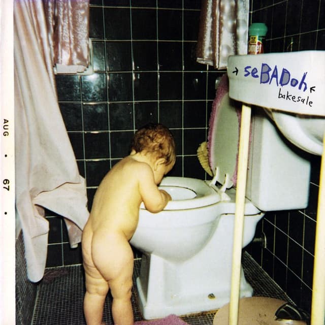 Bakesale cover