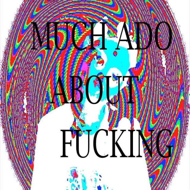 Much Ado About Fucking cover