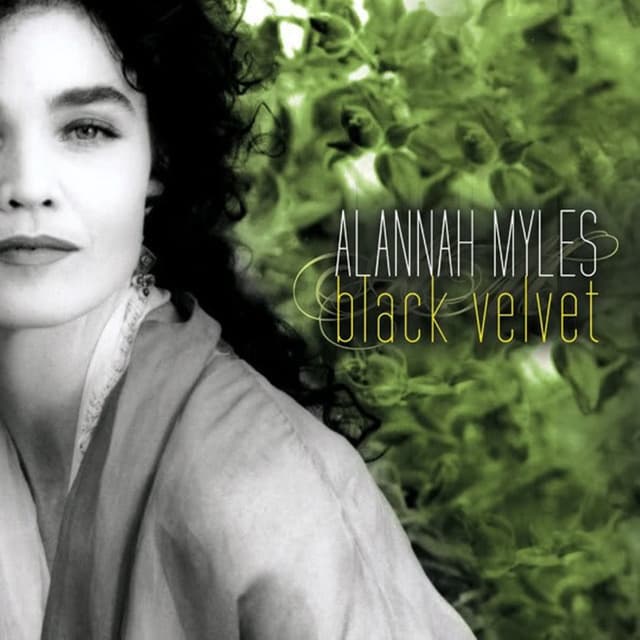 Black Velvet cover