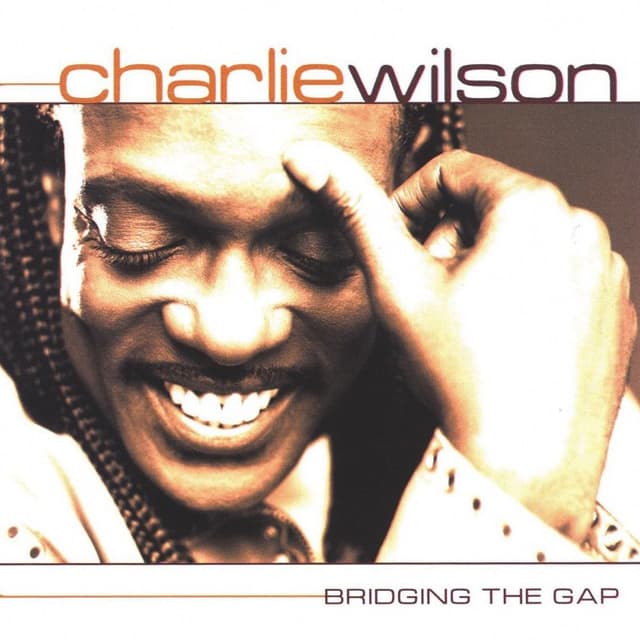 Bridging the Gap cover