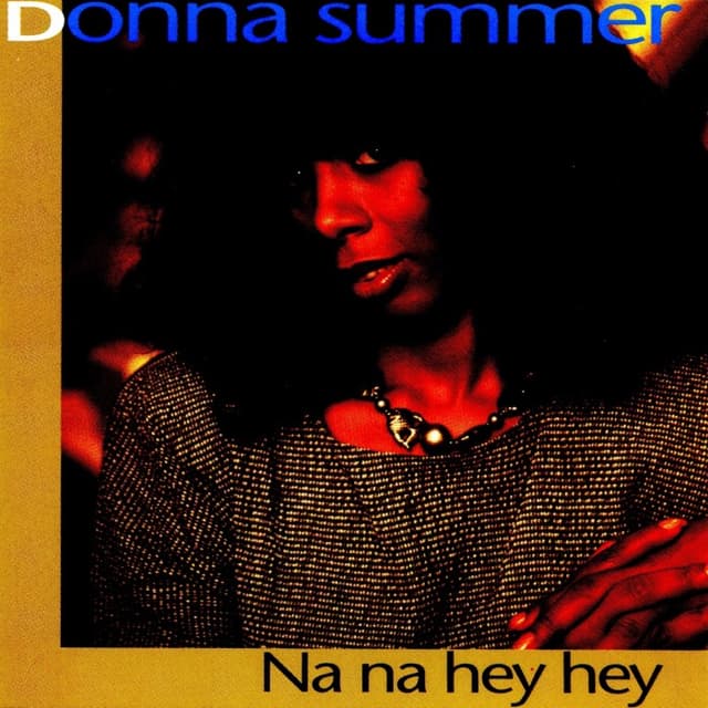 Na Na Hey Hey cover