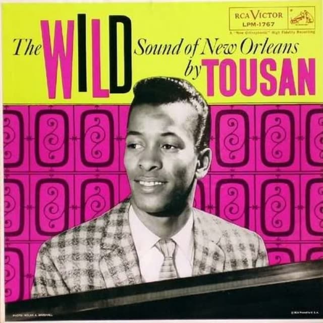 The Wild Sound of New Orleans cover