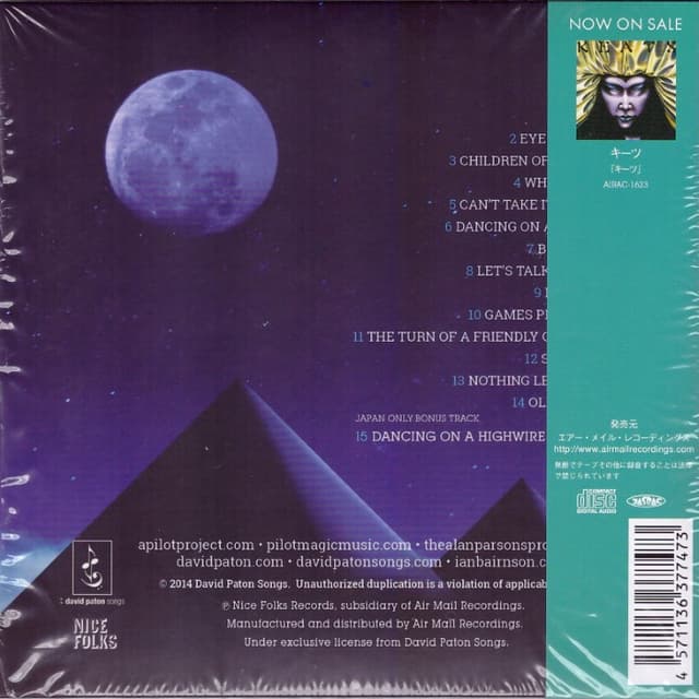 A Pilot Project cover