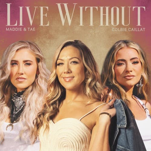 Live Without cover