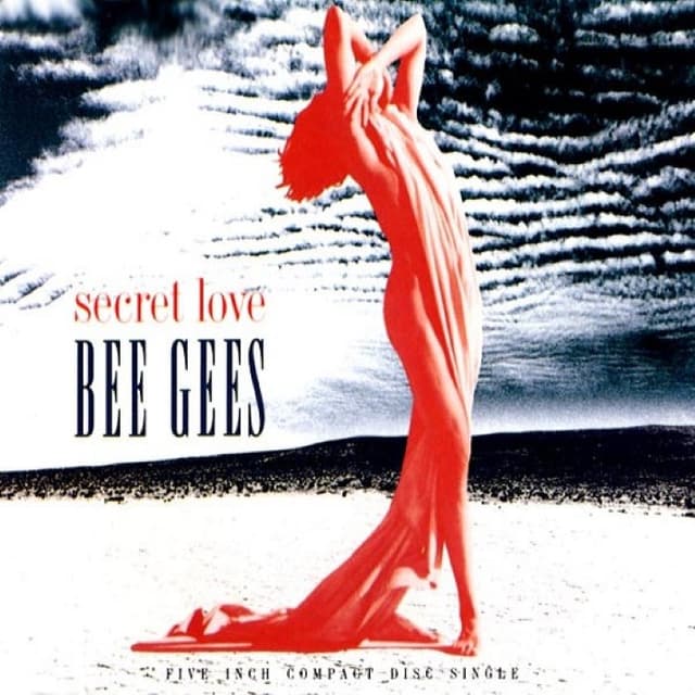 Secret Love cover