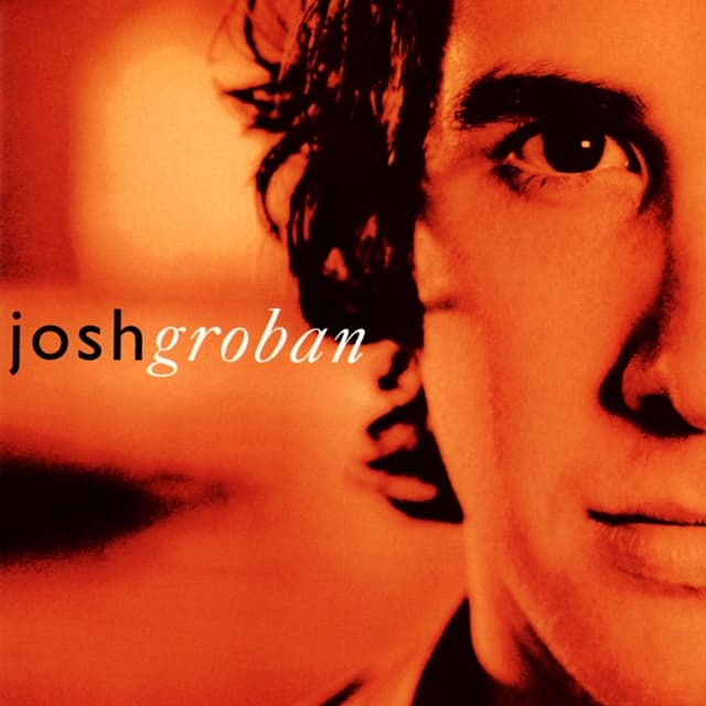 Closer cover