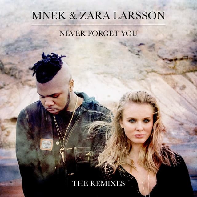 Never Forget You (The Remixes) cover