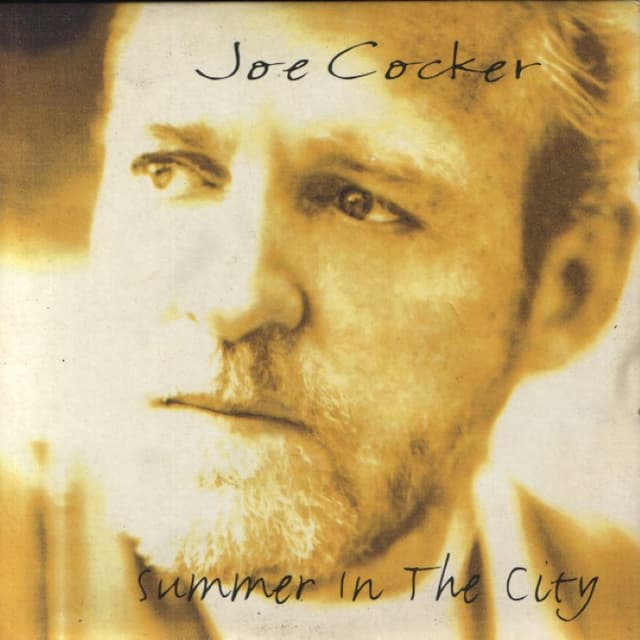 Summer in the City cover