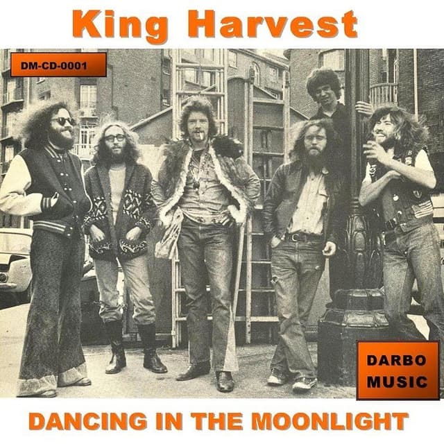 Dancing in the Moonlight cover