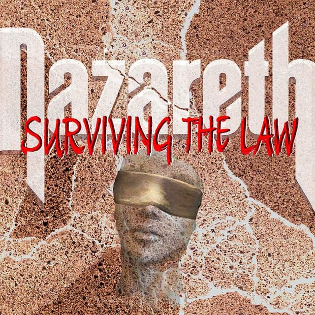 Surviving the Law cover