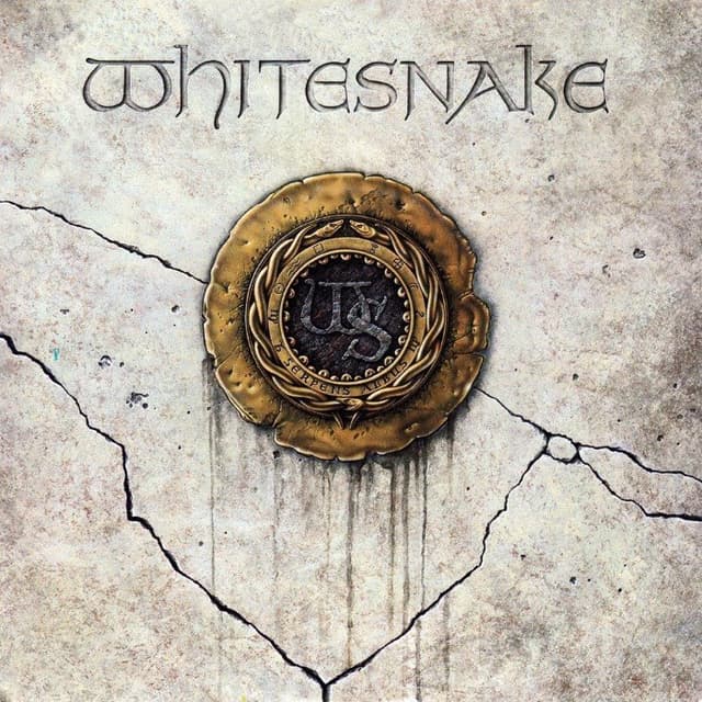 Whitesnake cover
