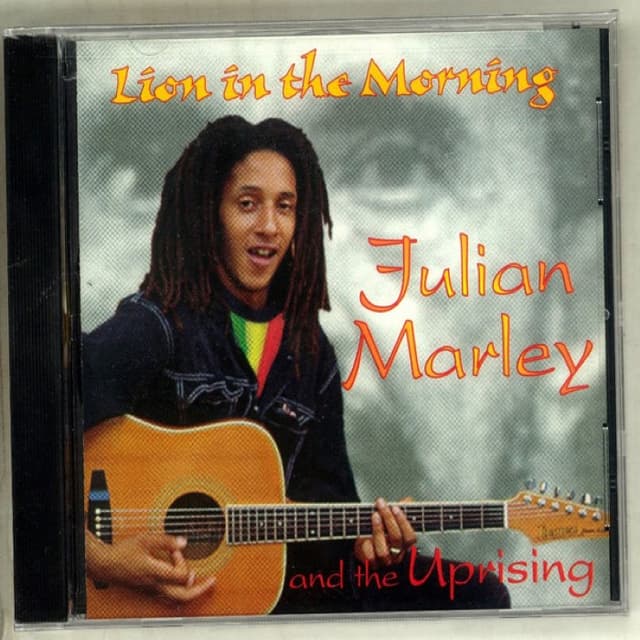 Lion In The Morning cover