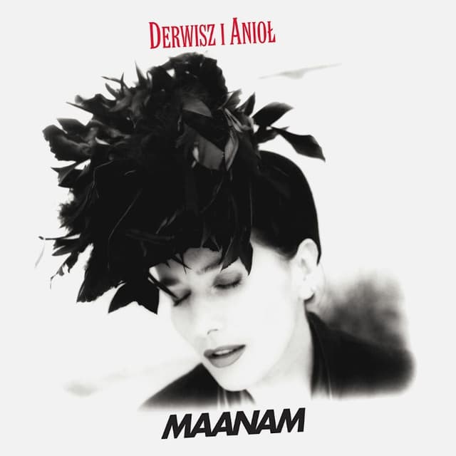 Derwisz i anioł cover