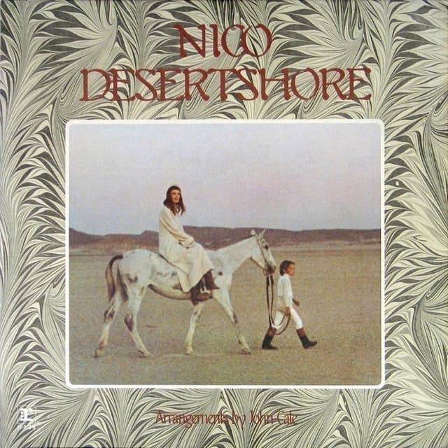 Desertshore cover
