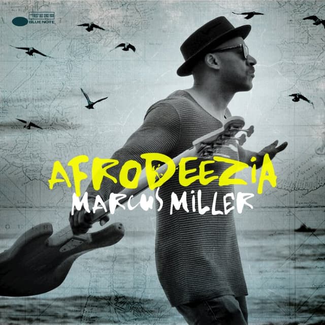 Afrodeezia cover