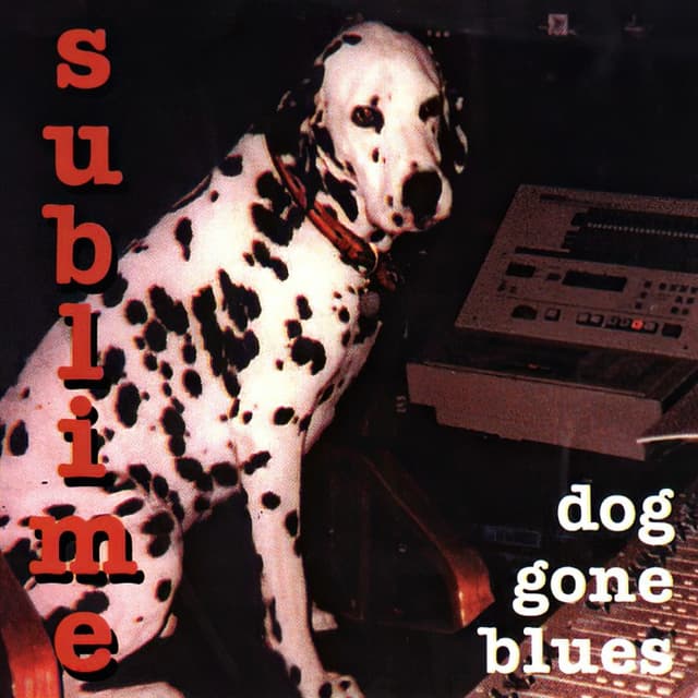 Dog Gone Blues cover