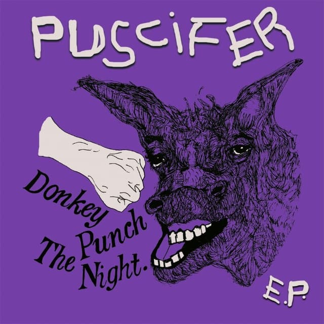 Donkey Punch the Night cover