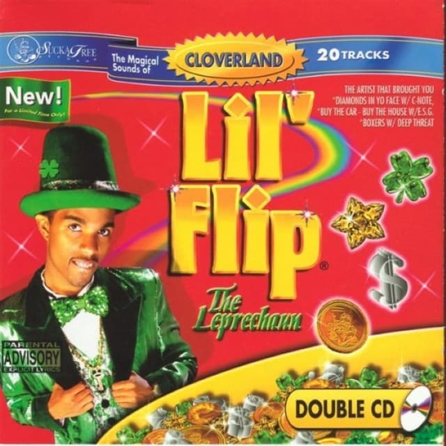 The Leprechaun cover