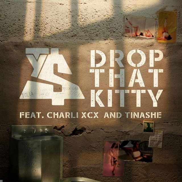 Drop That Kitty cover
