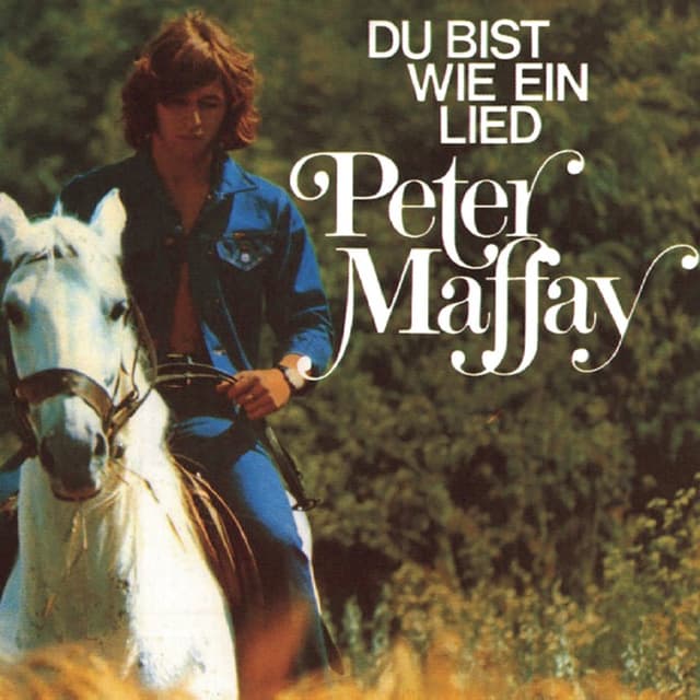 Du bist wie ein Lied cover