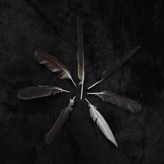 Dust and Disquiet cover