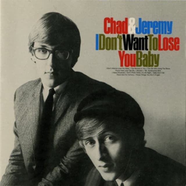 I Don't Want to Lose You Baby cover