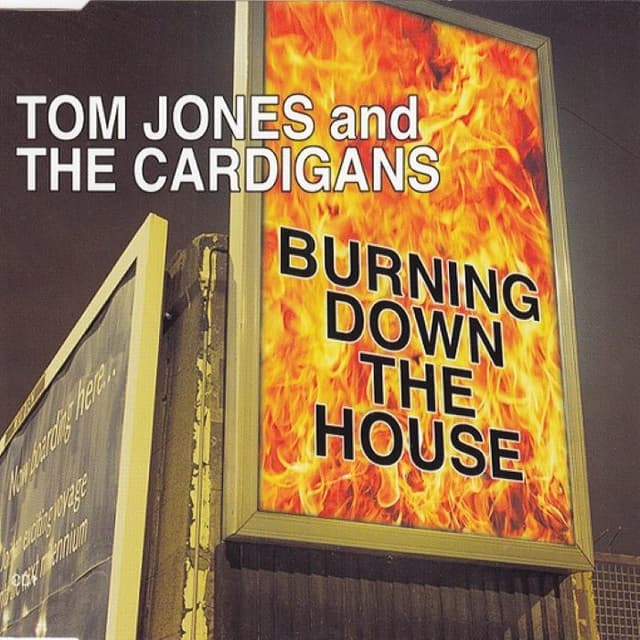 Burning Down the House cover
