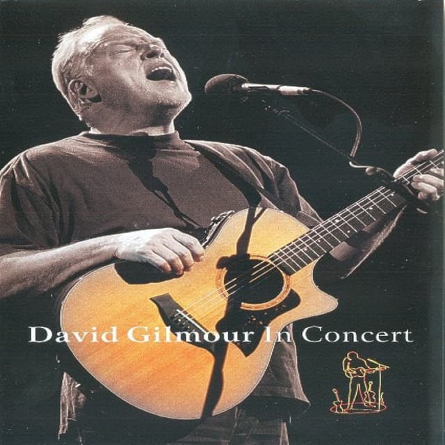 David Gilmour in Concert cover