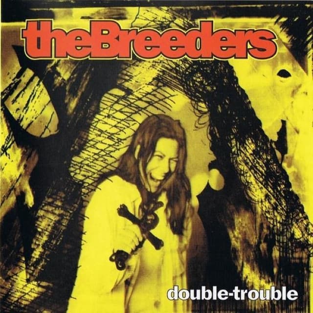 Double-Trouble cover