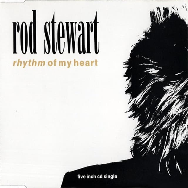 Rhythm of My Heart cover