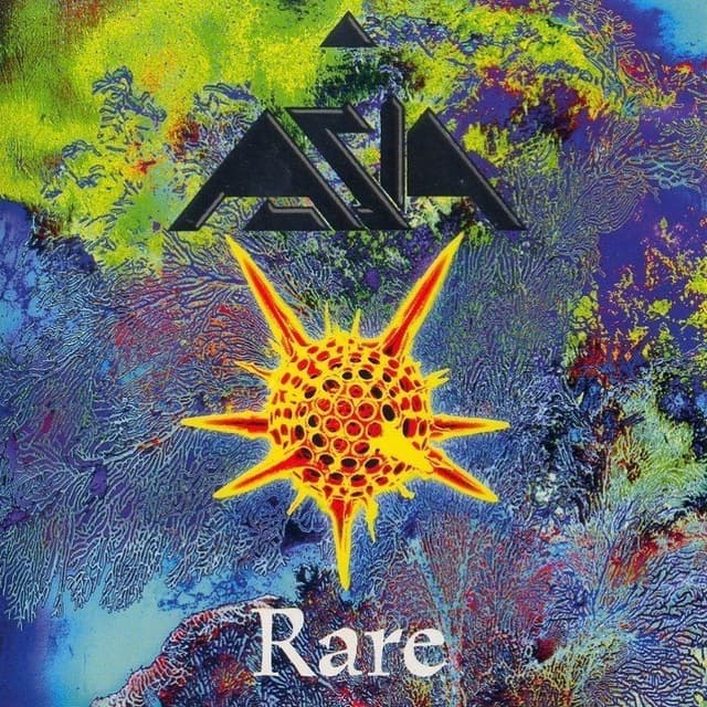 Rare cover
