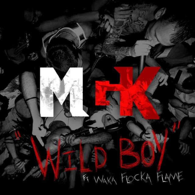 Wild Boy cover