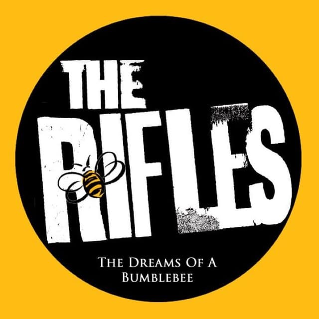 The Dreams of a Bumblebee cover