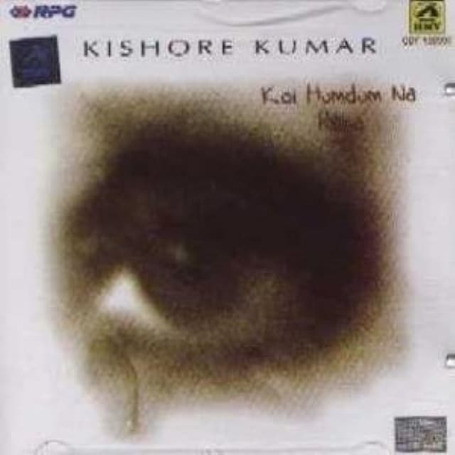 Koi humdum na raha cover