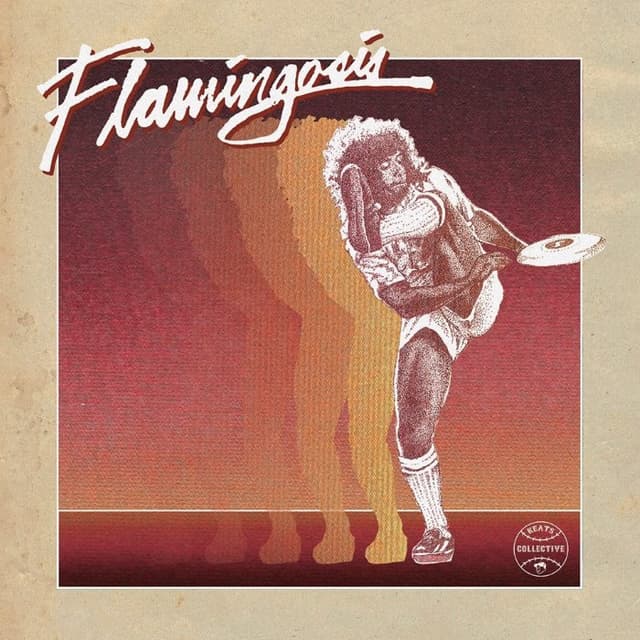 Flamingosis cover