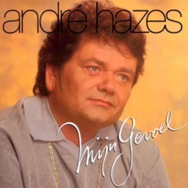 Mijn gevoel cover