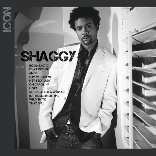 Icon cover
