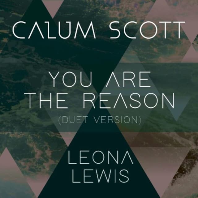 You are the Reason cover