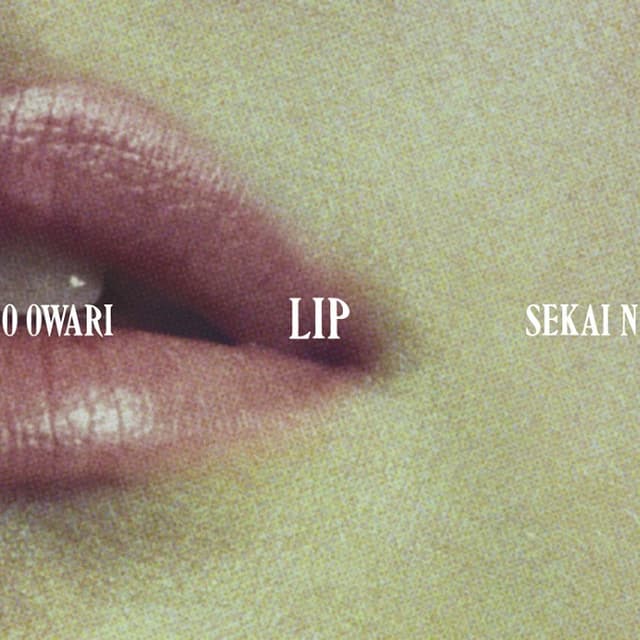 Lip cover
