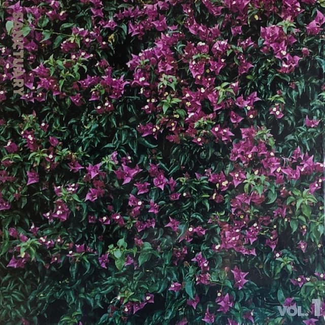 Sanctuary, Vol. 1: 78violet (The Unreleased Record) cover